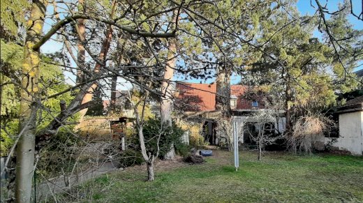 Einfamilienhaus mit großzügigem Garten (ohne Makler) - immoregio.de Makler