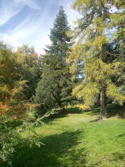 Seltene Gelegenheit in Ungarn, Barcs – dreistöckiges Einfamilienhaus mit großem, angelegtem Garten und Bachlauf.
