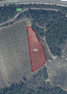 GRUNDSTÜCK IN DER TÜRKEI SAKARYA ZU VERKAUFEN - immoregio.de Makler