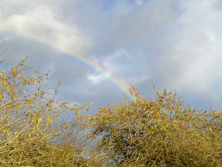 Wohnung oder Häusle auf der Alb gesucht. 