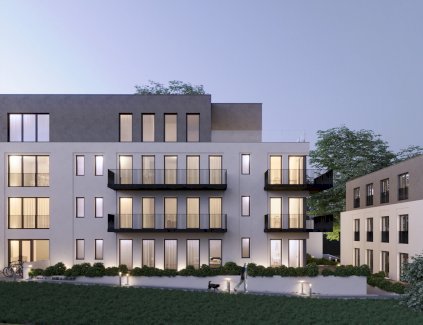 Barrierefreie Wohnung  mit großer Terrasse im Energiesparhaus Trier-Kürenz  Trier 54295 - immoregio.de Makler
