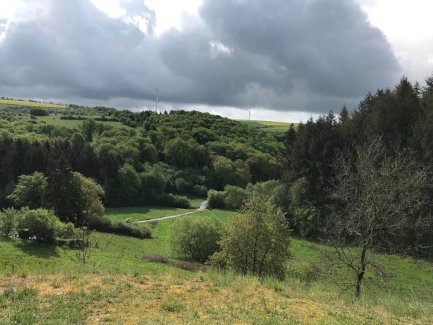 Moderne Wohnung mit Garten und tollem Blick ins Grüne in Trier-Kernscheid  Zuschuß von Euro 26.250  Trier 54296 - immoregio.de Makler
