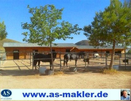 *Pferdefreunde* Pferderanch mit 2 Häuser auf 138000 qm Land Provisionsfrei! Lorca 30800 - immoregio.de Makler