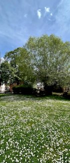 *Schöne 3 Zimmer Wohnung mit Balkon und Garten* Bessenbach / Oberbessenbach 63856